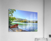 19a Acrylic Print