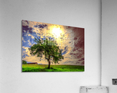 7 (5) Acrylic Print