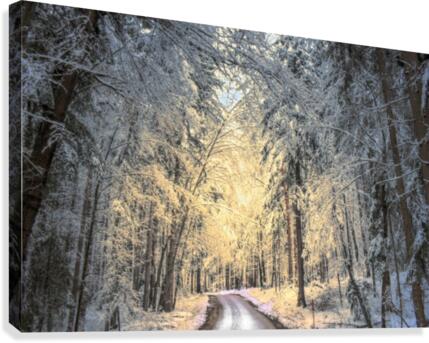 Winter road Canvas Print