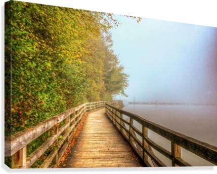5 (1) Canvas Print