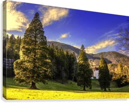 7 (4) Canvas Print