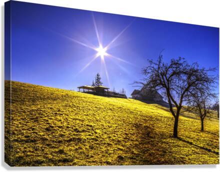 4a (1) Canvas Print