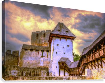 4 (5) Canvas Print