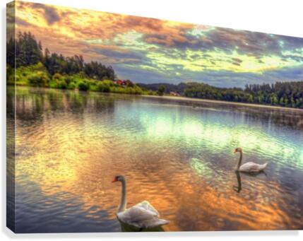 17 Canvas Print