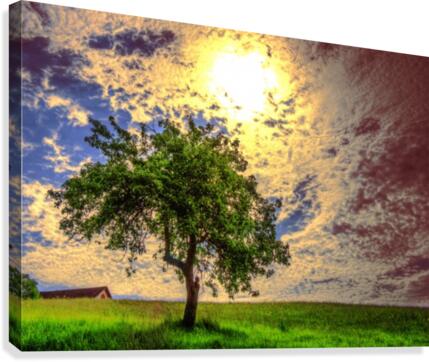 7 (5) Canvas Print