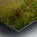 5 (1) Metal print