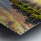 17 Metal print