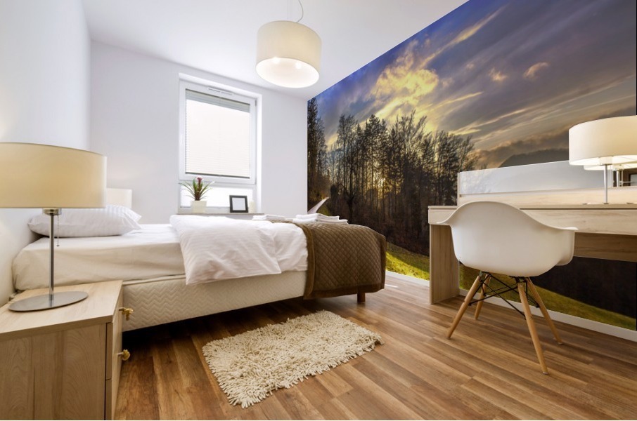 Winter sunset Mural print