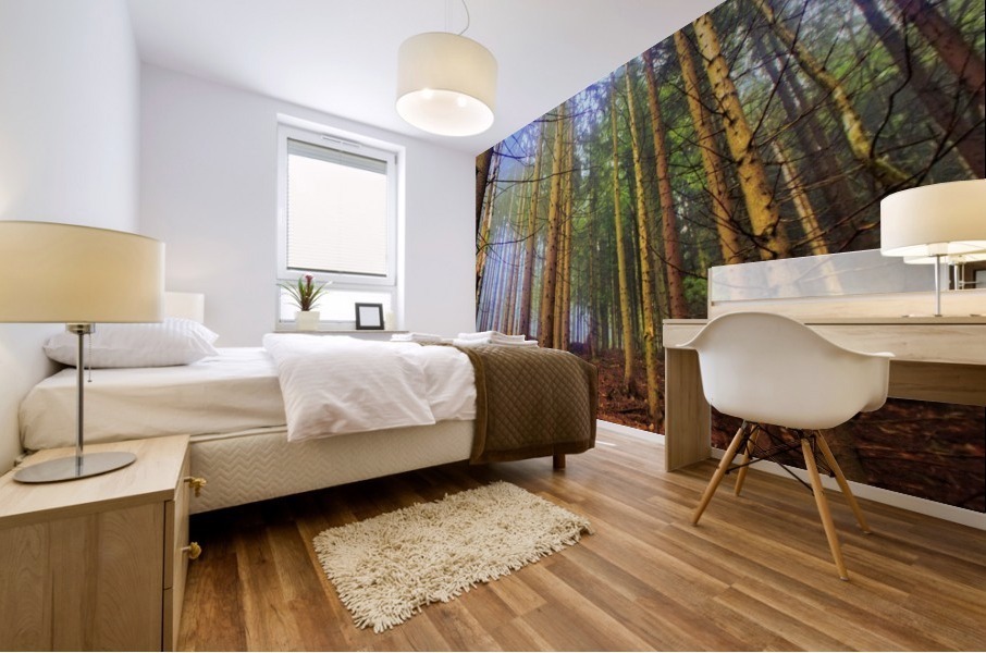 Fog Mural print