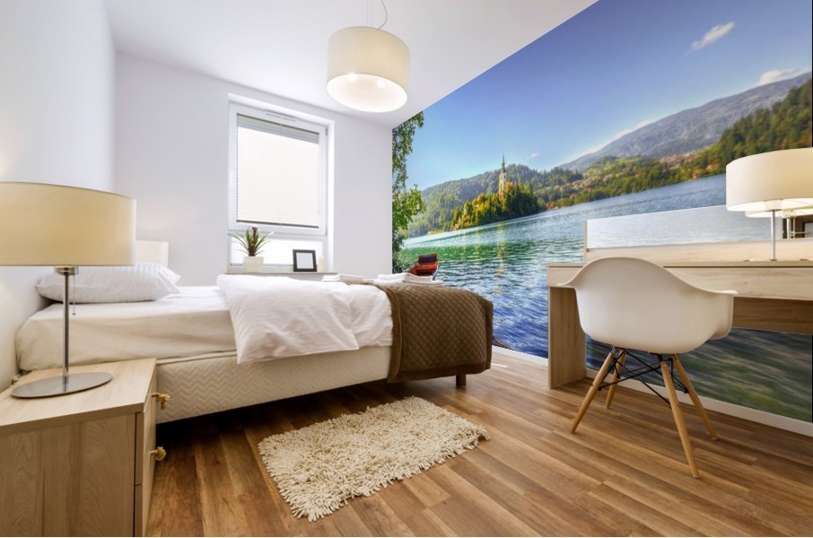 19a Mural print