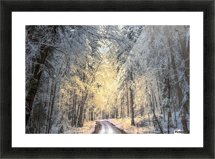 Winter road Picture Frame print
