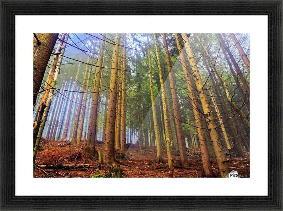 Fog Picture Frame print