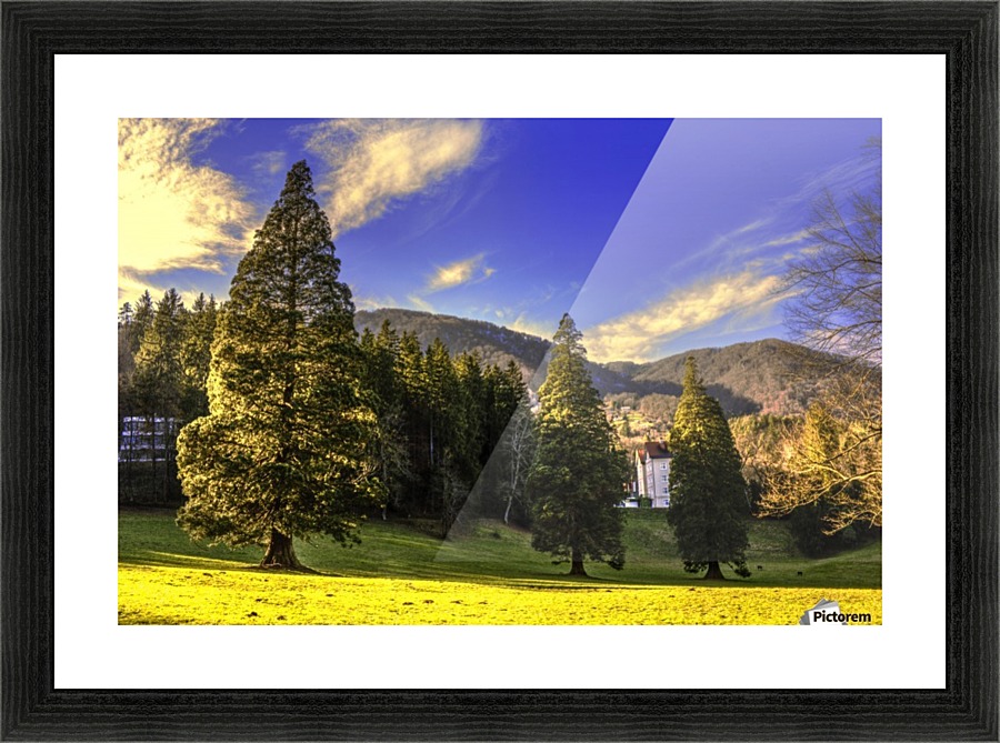 7 (4) Picture Frame print