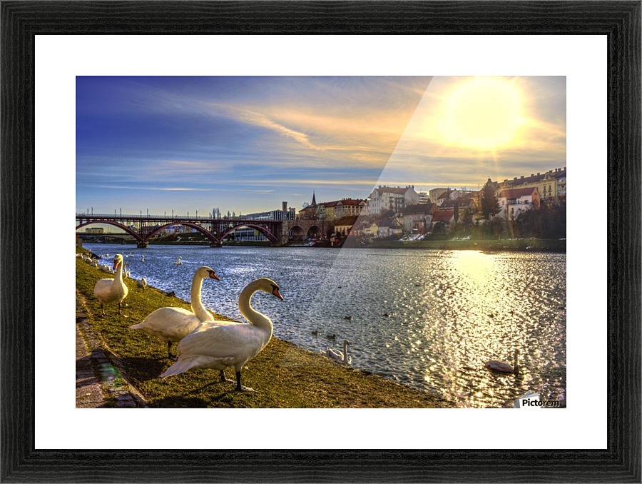 8a (1) Picture Frame print