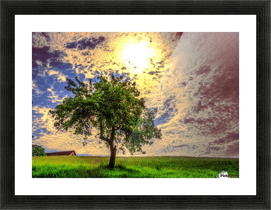 7 (5) Picture Frame print