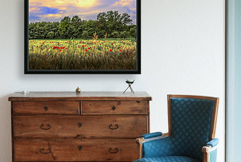 Poppy in the field by Dario Barukcic