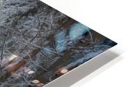 Winter road HD Metal print