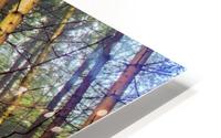 Fog HD Metal print