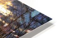 Summer sunrise HD Metal print