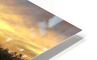 9 (1) HD Metal print