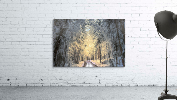 Winter road Wall Preview