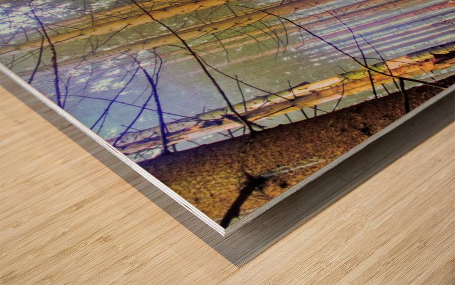 Fog Wood print