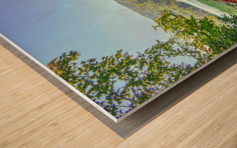 19a Wood print