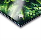 ai artist debra amerson plant artistry douglas fi Acrylic print