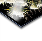 ai artist debra amerson plant artistry547a8d52 5e Acrylic print