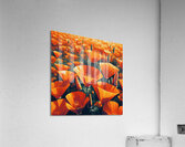 ai artist debra amerson california poppy super bl Acrylic Print