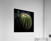 ai artist debra amerson plant artistry barrel cac Acrylic Print
