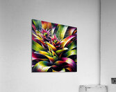 ai artist debra amerson plant artistry guzmania b Acrylic Print
