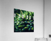 ai artist debra amerson plant artistry douglas fi Acrylic Print