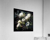 ai artist debra amerson plant artistry547a8d52 5e Acrylic Print