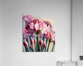 ai artist debra amerson plant artistry345dd7ec 2c Acrylic Print