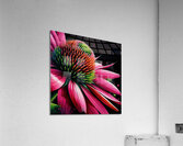 ai artist debra amerson plant artistry703c86a2 99 Acrylic Print