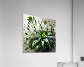 ai artist debra amerson tangle of house plants co Acrylic Print