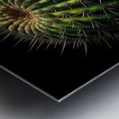 ai artist debra amerson plant artistry barrel cac Metal print