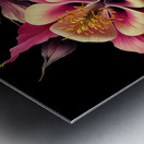 ai artist debra amerson plant artistry big pink g Metal print