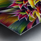 ai artist debra amerson plant artistry guzmania b Metal print