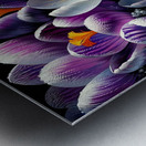 ai artist debra amerson plant artistry82d37c99 65 Metal print