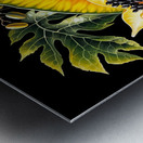 ai artist debra amerson plant artistrystar fruit Metal print