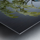 green fern artistic ceramic coil pot Metal print