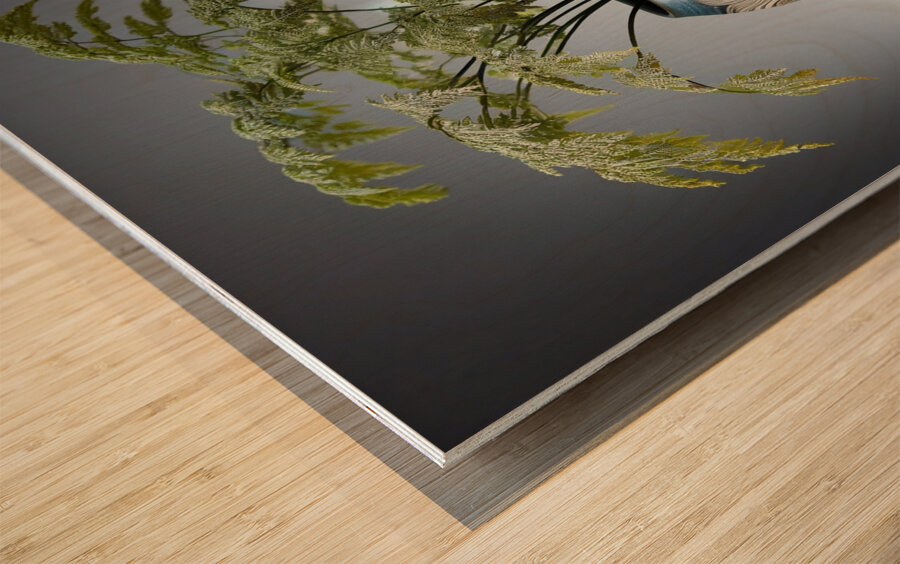 green fern artistic ceramic coil pot Wood print