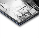 Sandhill crane - Yellowstone Acrylic print