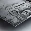 Sandhill crane - Yellowstone Metal print