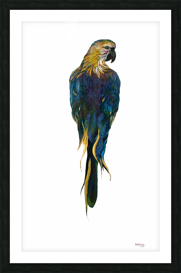 McCaw  Picture Frame print