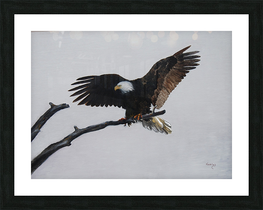 Eagle on Branch Picture Frame print