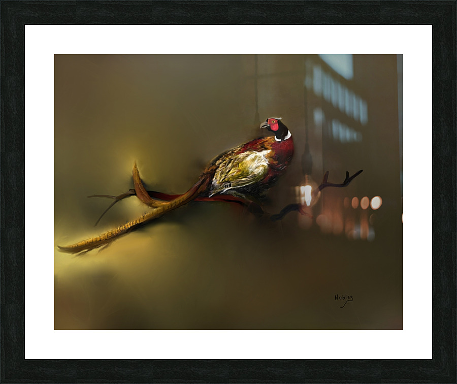 Pheasant Picture Frame print