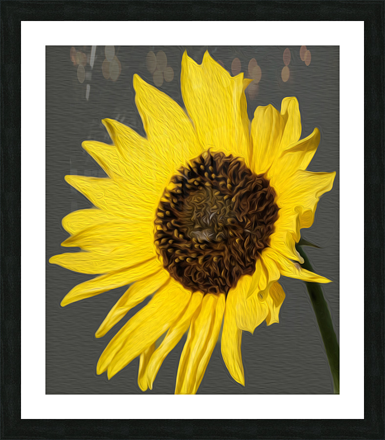 Sunflower Picture Frame print